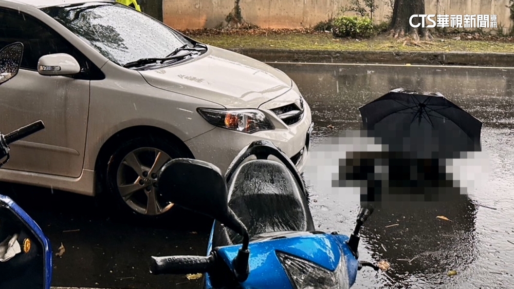 沒牽繩？　遛狗到一半黑狗衝出安全島遭車撞死