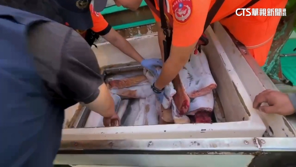 藏6.5公噸鯊魚翅！違規捕鯊船再犯　漁業署將重罰