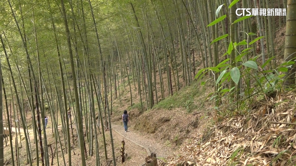 草嶺「竹地標」認證.三條崙風箏衝浪　雲林山海都好玩