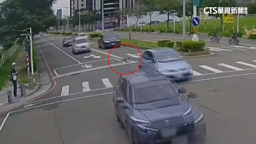 柴犬路上亂衝導致車禍　飼主自行離開警追查開罰