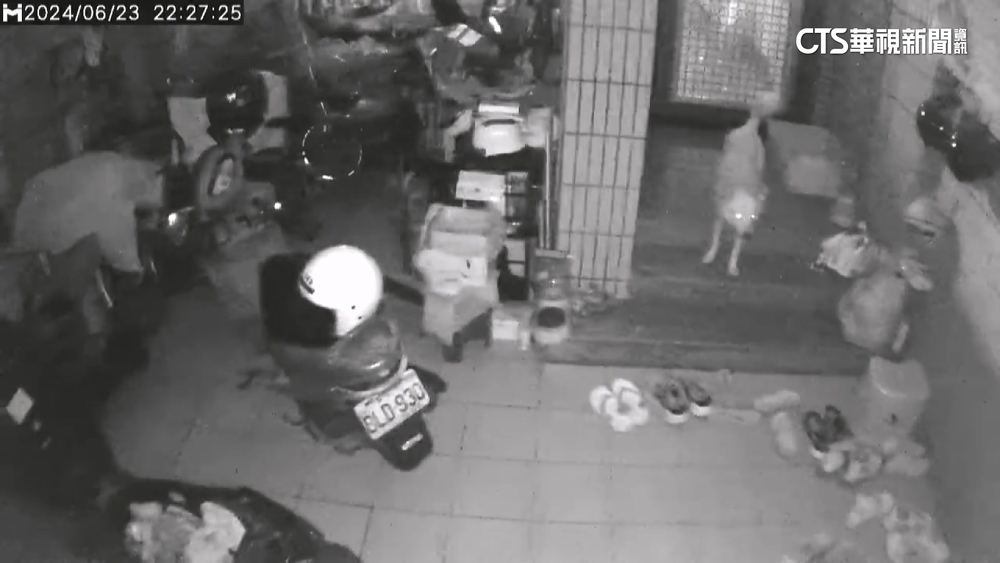 花蓮近海規模5.4地震　花蓮.南投合歡山4級