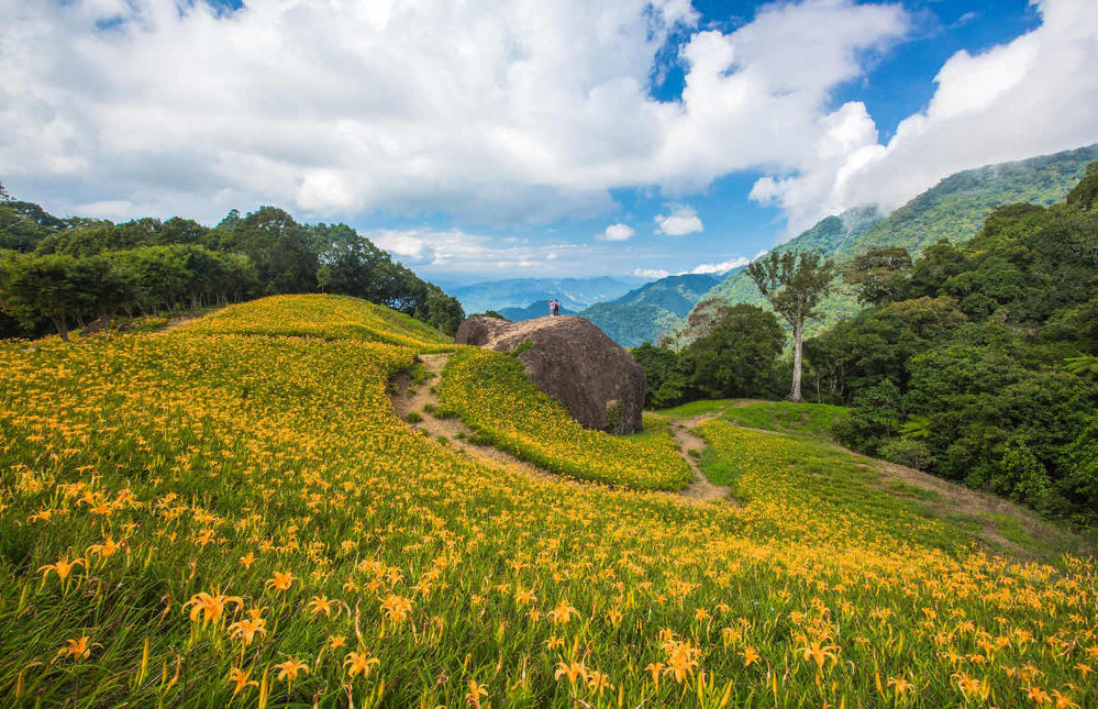 7/1發放「農粉幣」每張面額250元　2類人可領取！