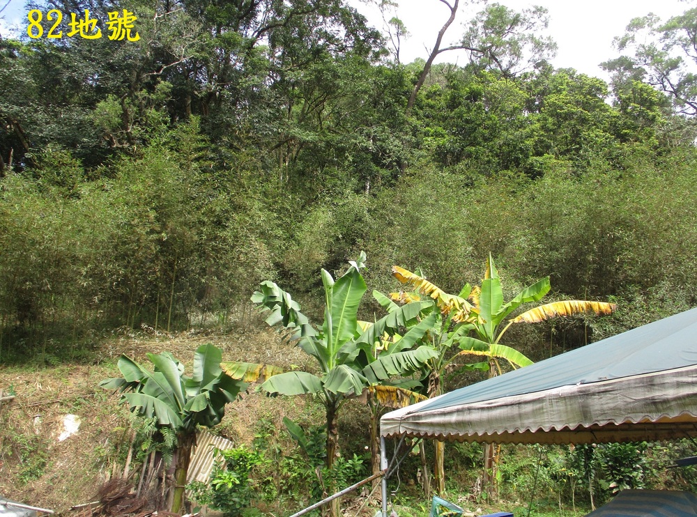 已故股市聞人黃任中欠稅19億 擔保人27筆土地將法拍 底價逾6億