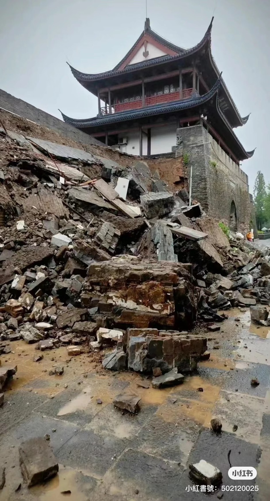 圖／翻攝自小紅書