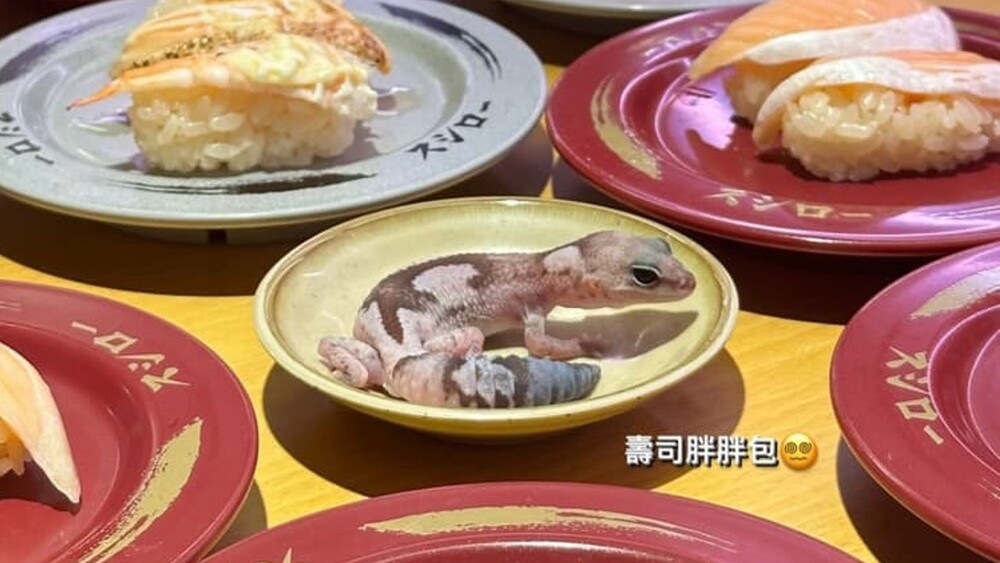 守宮放醬油碟掀怨　壽司郎揭「女大生已道歉」：仍會提告