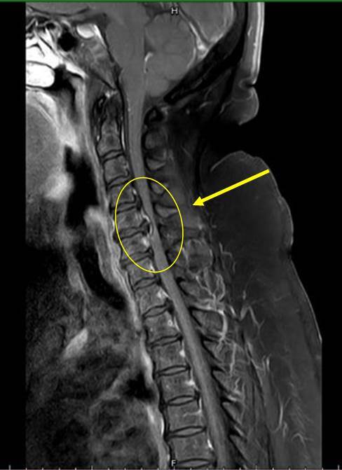 圖／衛福部豐原醫院提供
