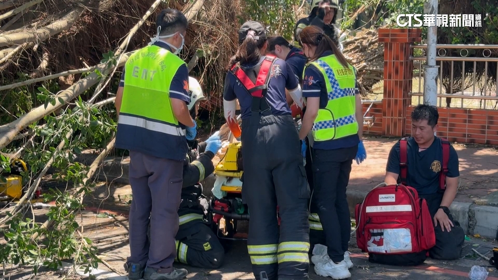 無風雨路樹突倒　南投女騎士遭壓無心跳命危