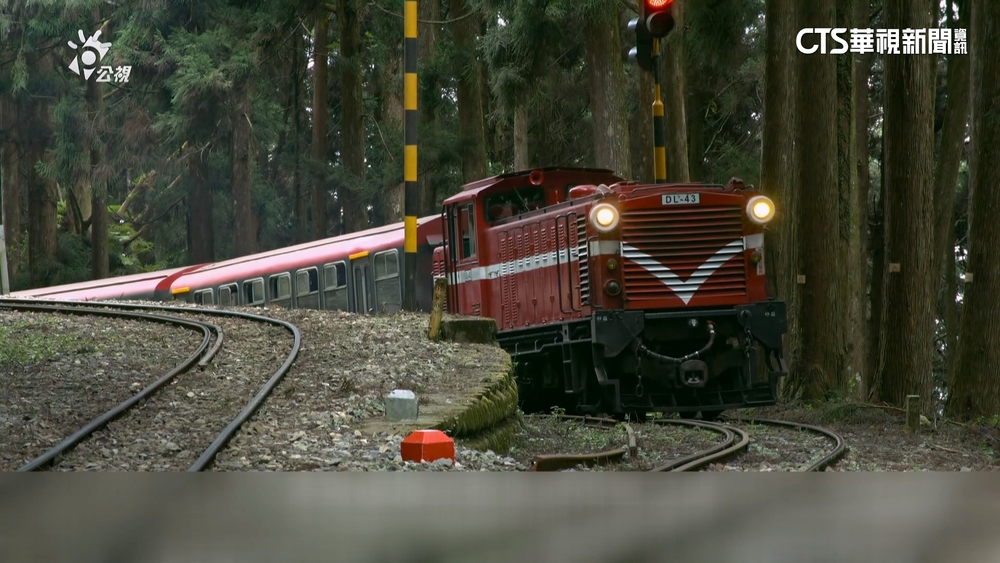 公視「神木之森」與NHK合作　紀錄阿里山鐵道之美