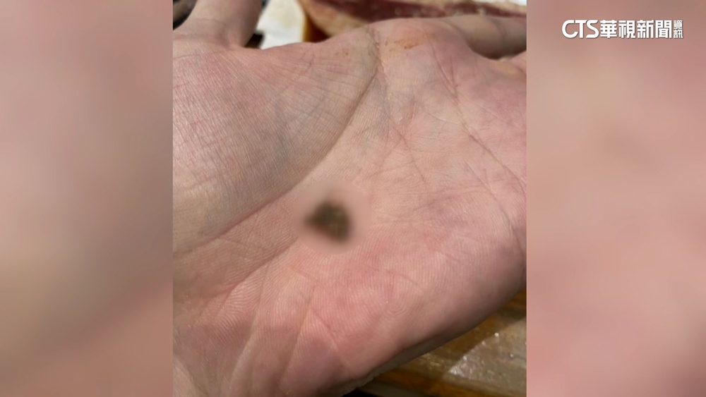 連鎖燒肉店「飲品有蟑螂」！　業者致歉清消　衛局稽查