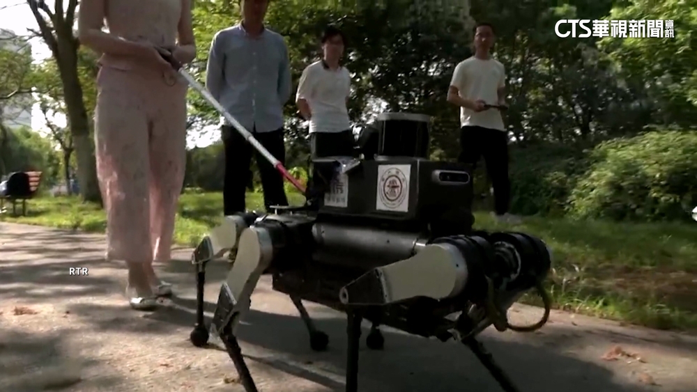 6隻腳「機器導盲犬」上路測試！　僅4百隻「供不應求」
