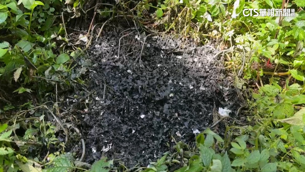 男想「拜山神」溪頭步道燒金紙　遊客憂森林火