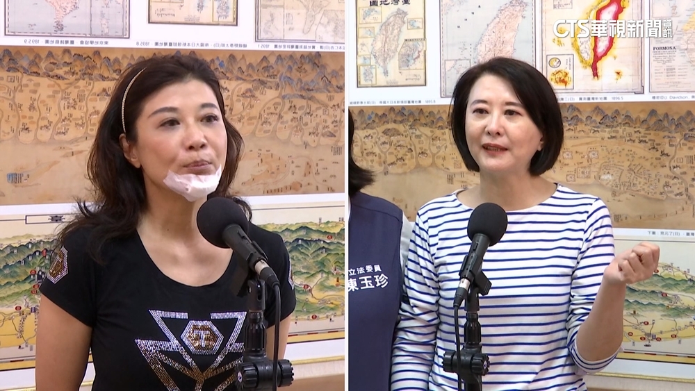 互控傷害！　林楚茵控：連甩巴掌　王鴻薇：打人喊救人