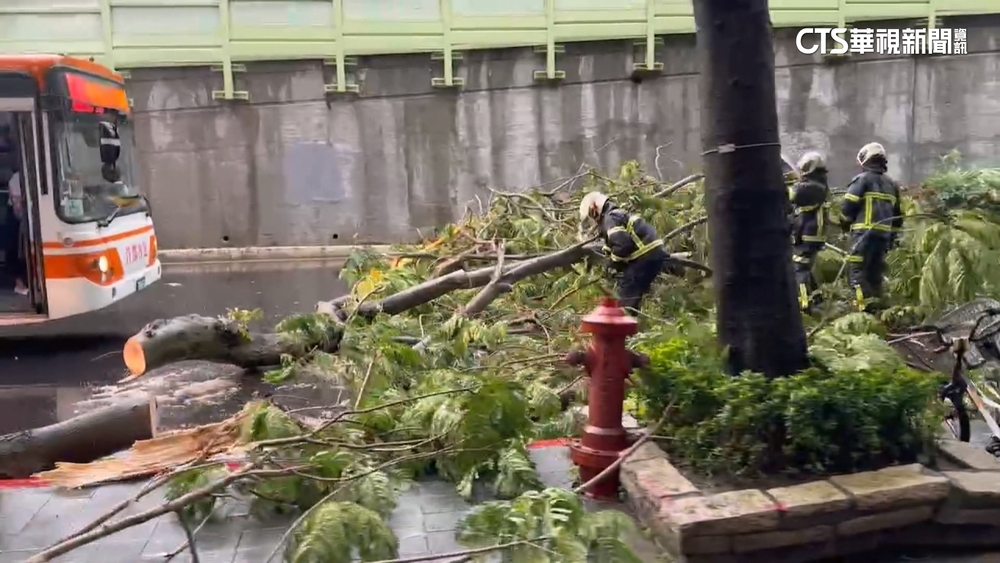 午後雷雨炸！　北市大安區樹倒一度占據車道