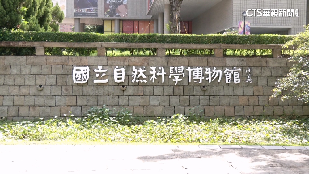台中科博館「有攝狼」！　小姊妹遭男子偷拍大喊