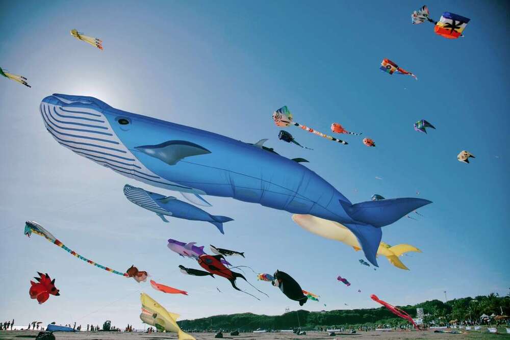 「2024旗津風箏節」7/20登場！　交通局籲「千萬別開車來」：搭渡輪最便利