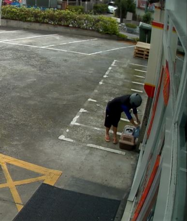 (圖/新北市動保處提供)