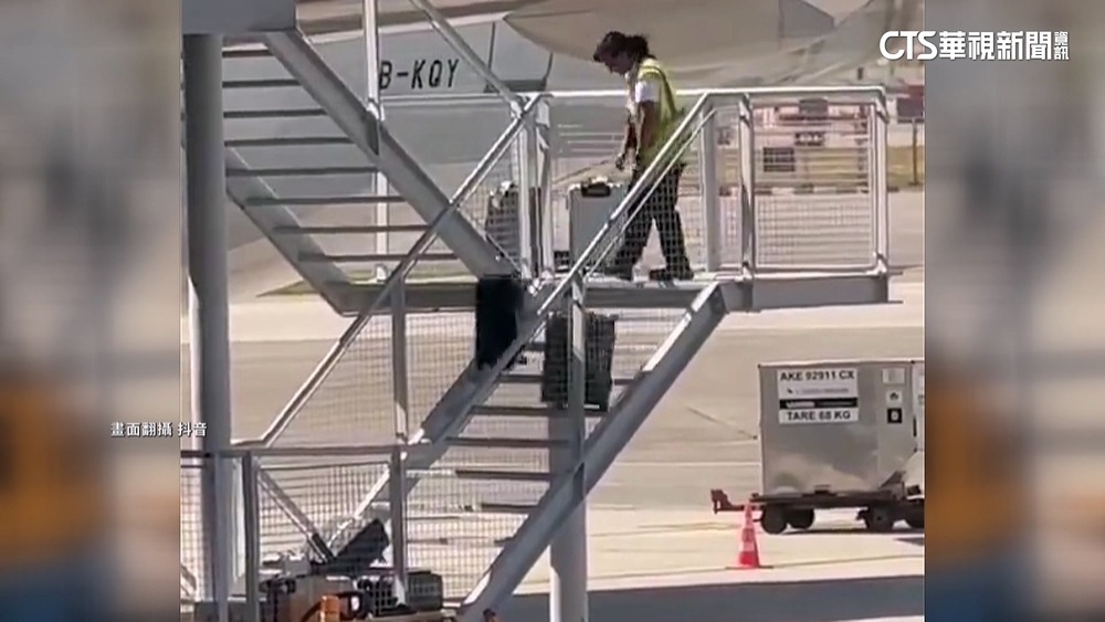 香港地勤搬行李「連6摔」　國泰航空：已調離現職