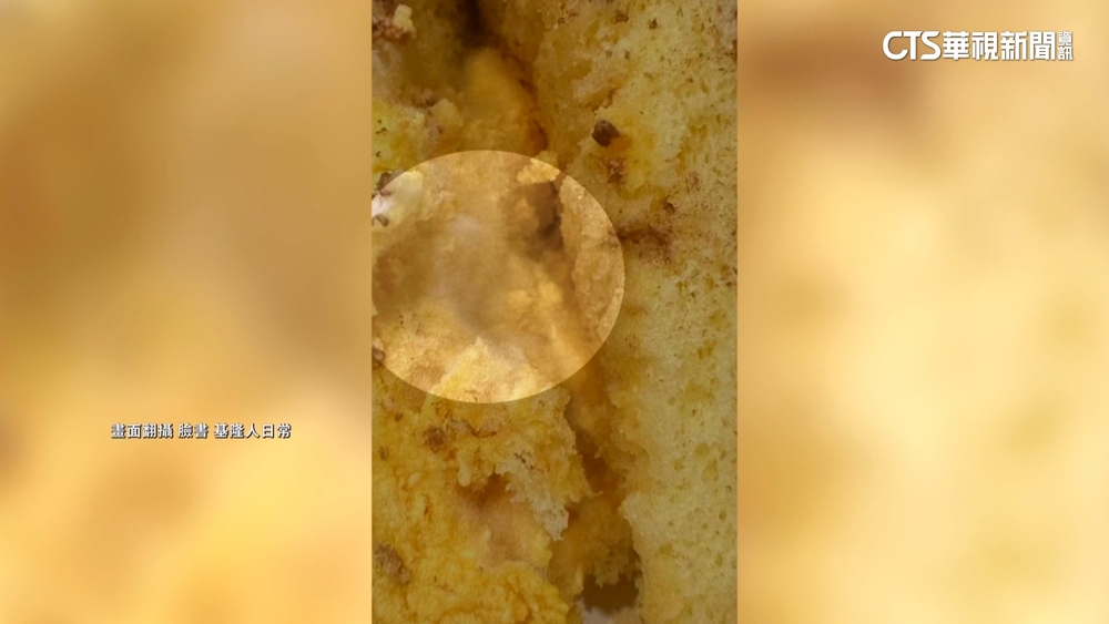 客訴蛋糕發霉吐又瀉　業者認疏失：水果多放幾天