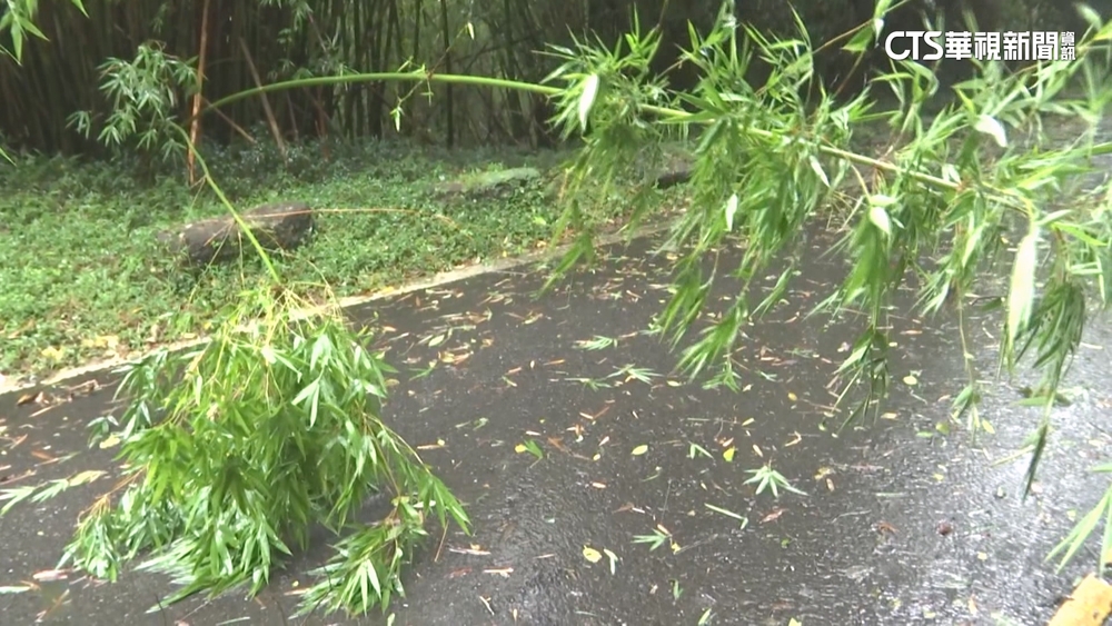 強颱凱米逼近　北市大屯山颳13級強陣風