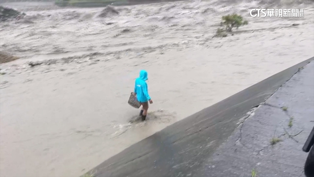 南投水里溪洪暴漲！　居民無懼　涉水撈魚險象環生