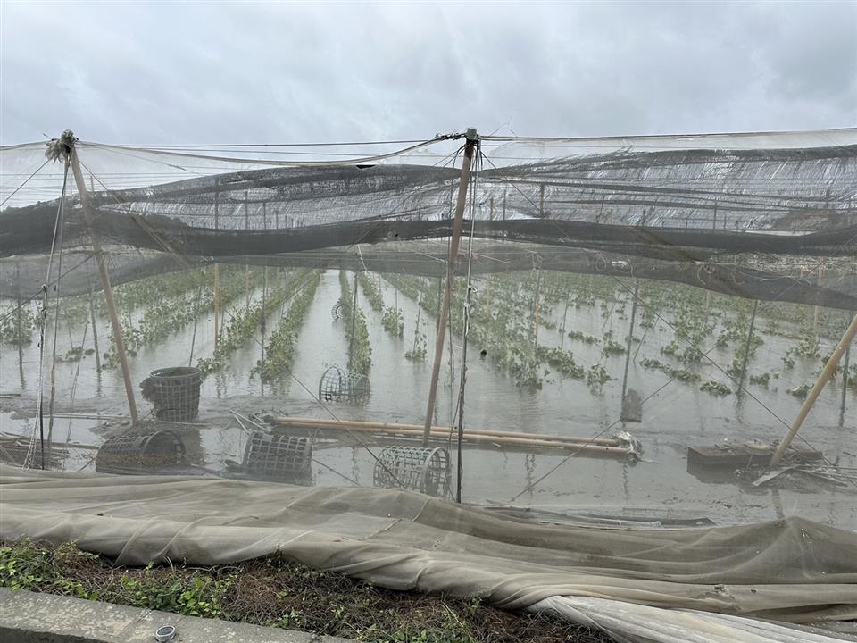 凱米掀慘況！彰化50%農田泡水　損失金額估破3億