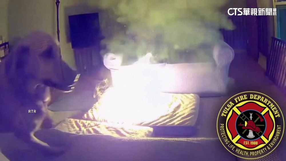 行動電源當潔牙骨啃　狗狗顧家反引火災