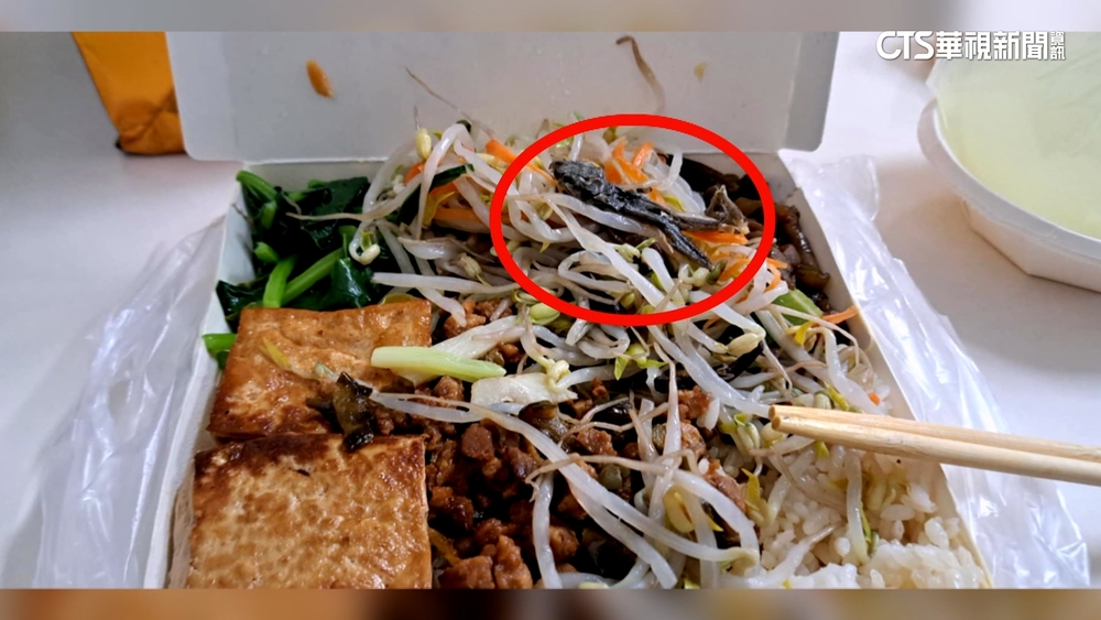 115元便當驚見壁虎？　店家：是青蛙　衛生局稽查