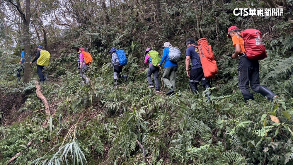 內平林山傳蜜蜂螫人　6遊客被攻擊1人無法行走