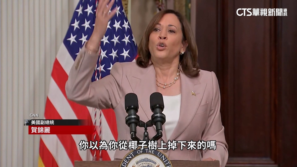 賀錦麗吸Z世代粉絲　椰子樹＋頑皮鬼哏網瘋傳