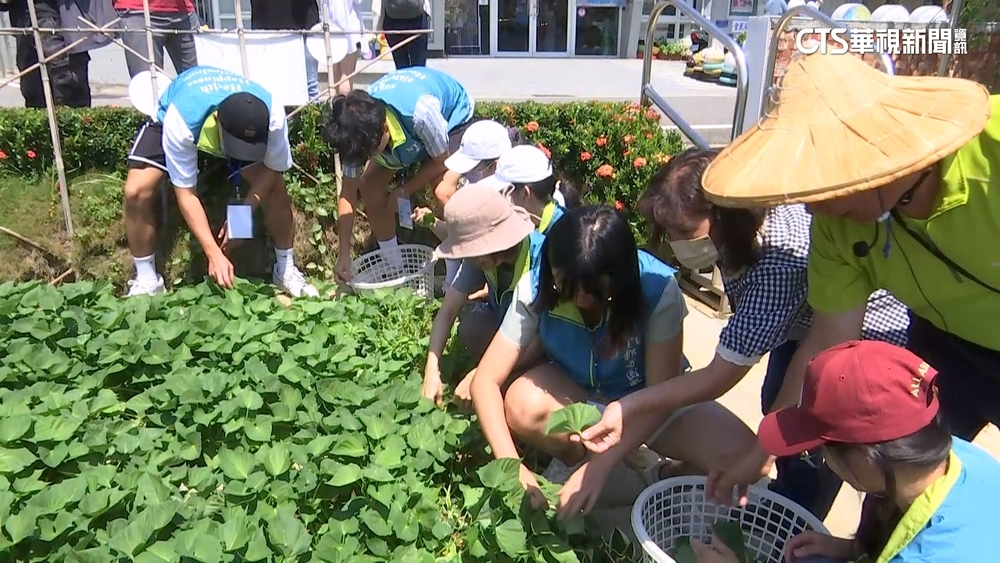 農村水保署推農村綠色照顧　關懷社區長者