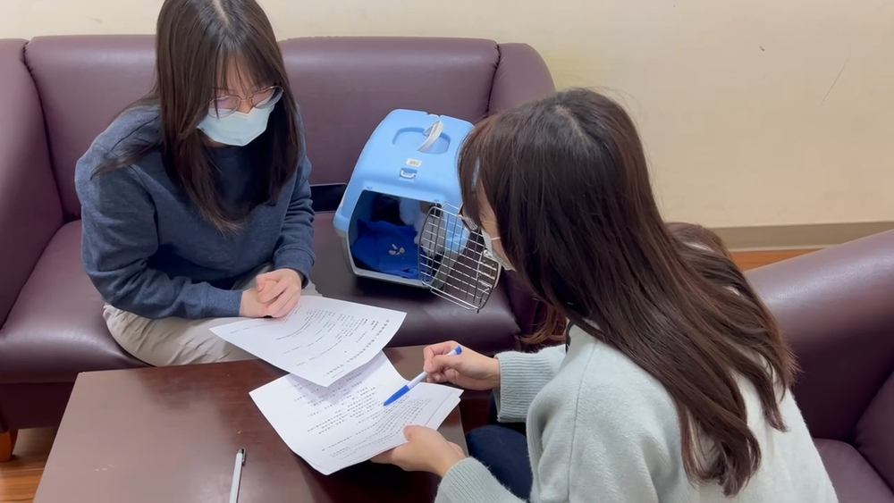 恐怖情人！新北男揚言「分手會將貓咪摔下樓」　後果慘了　