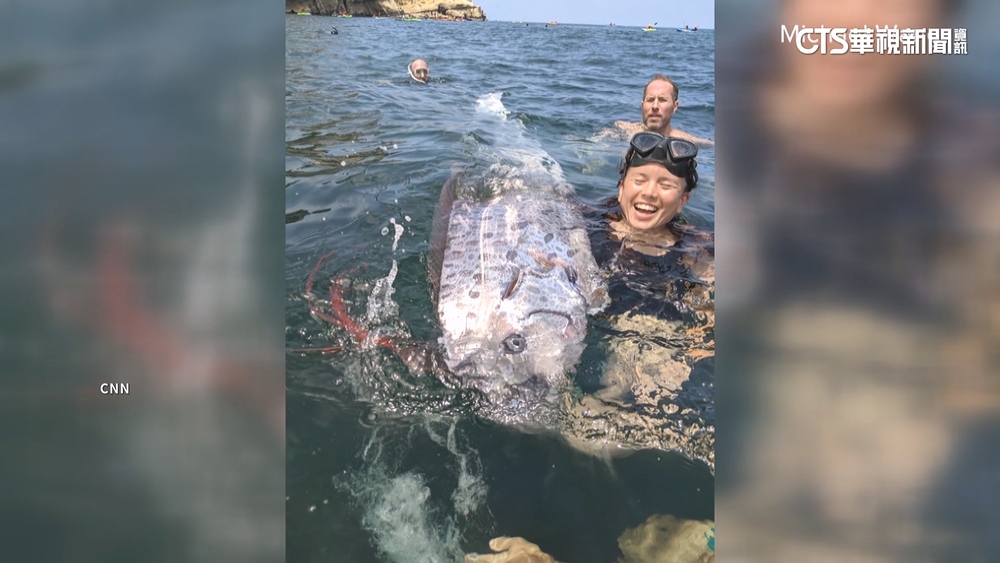 巨大皇帶魚加州現蹤　2天後洛杉磯地牛翻身