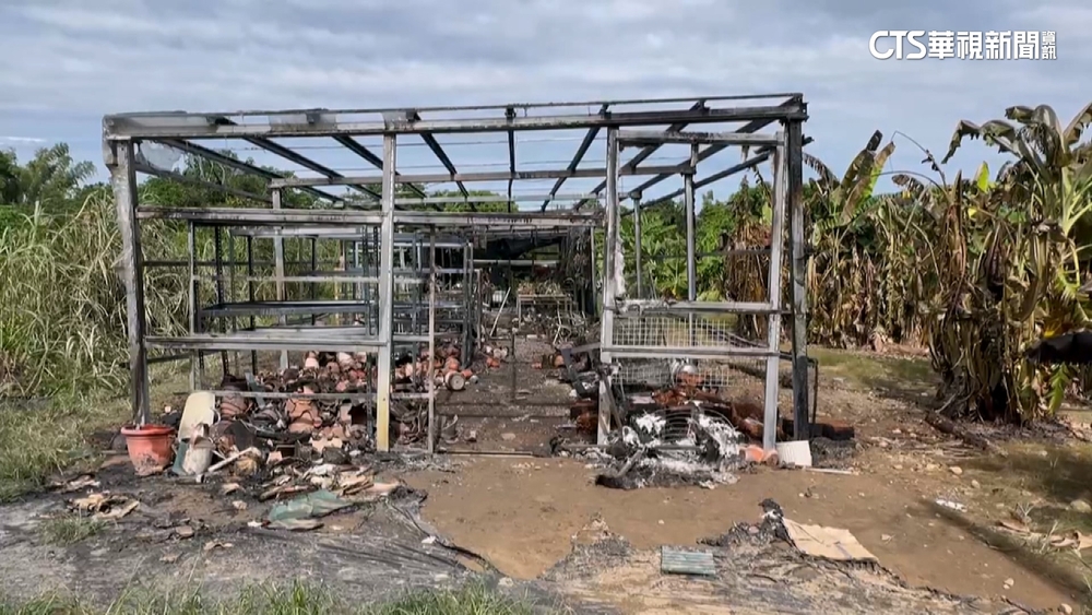 高價鹿角蕨溫室遭火噬　園主痛心：損失逾50萬