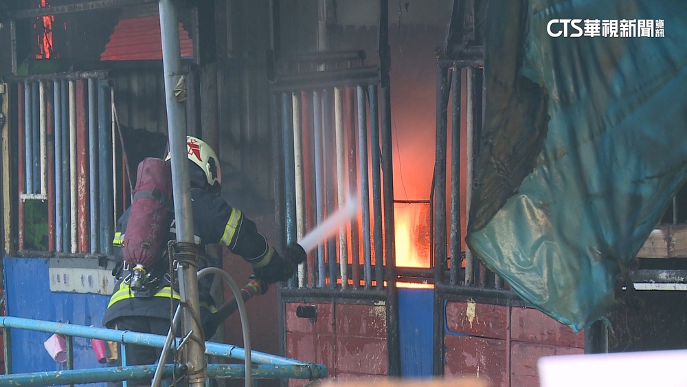 板橋知名馬場火警　巷弄窄消防救援難　馬「王子」喪生