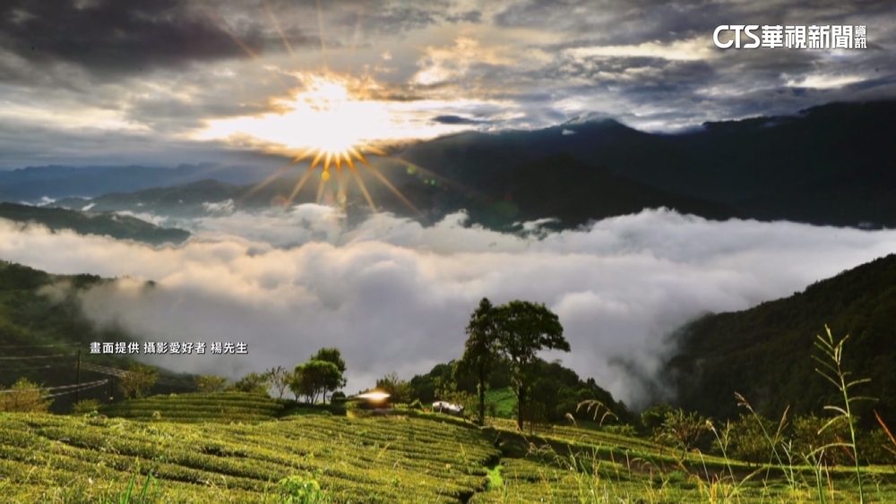 台中太平下「冰塊雨」　南投武界現「牛奶鍋」雲海