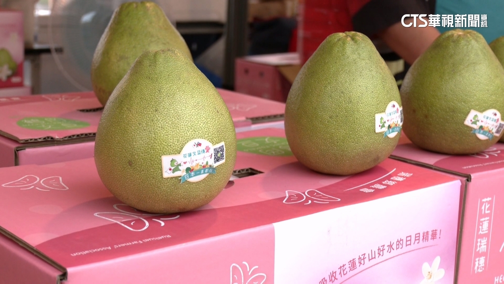 台日大港水果祭登場！　百個台日品牌設攤超熱鬧