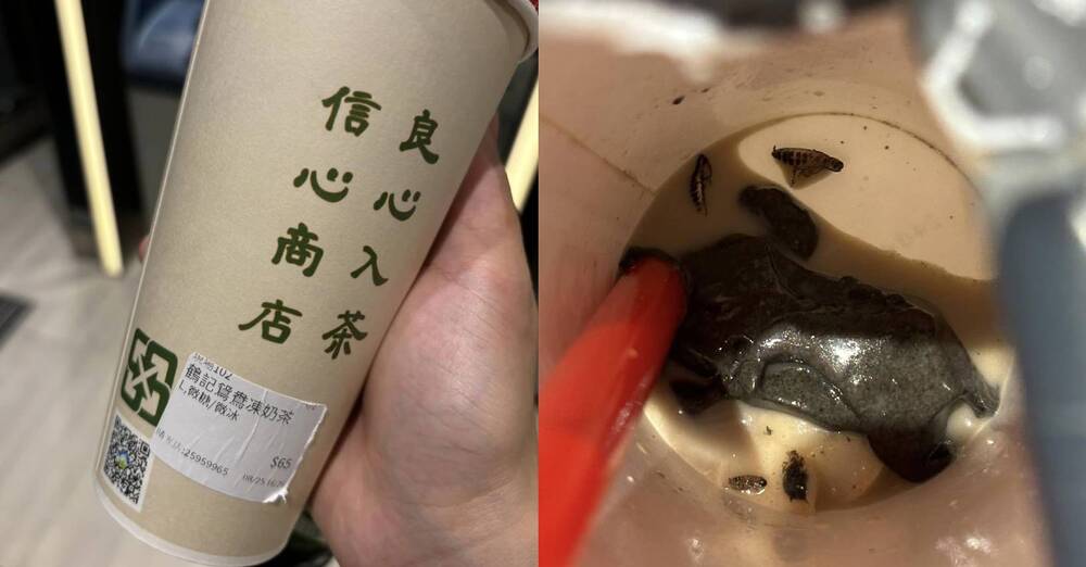遭爆芝麻凍飲「咬到爆漿蟑螂」 鶴茶樓緊急道歉