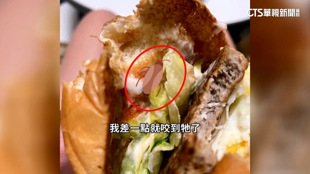噁！　知名速食店漢堡「夾蟑螂」　食安處派員稽查