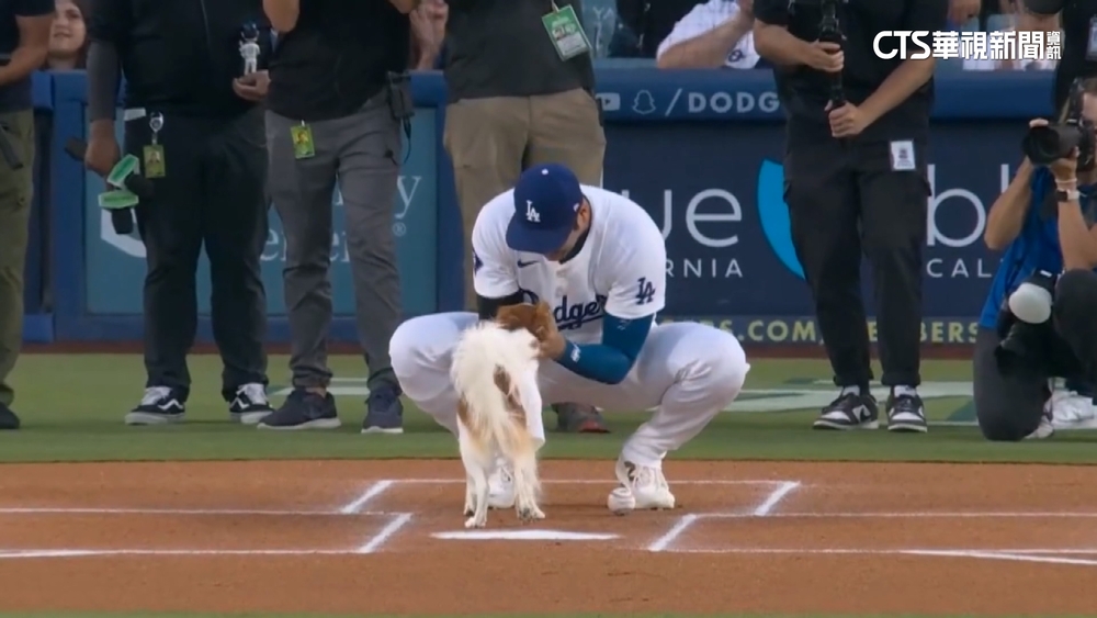 「谷+愛犬」公仔日主場大爆滿　大谷開轟慶祝！