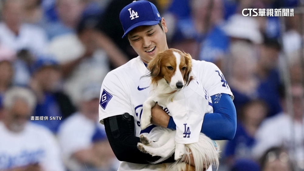 愛犬Decopin超萌開球　大谷炸裂第42轟+42盜