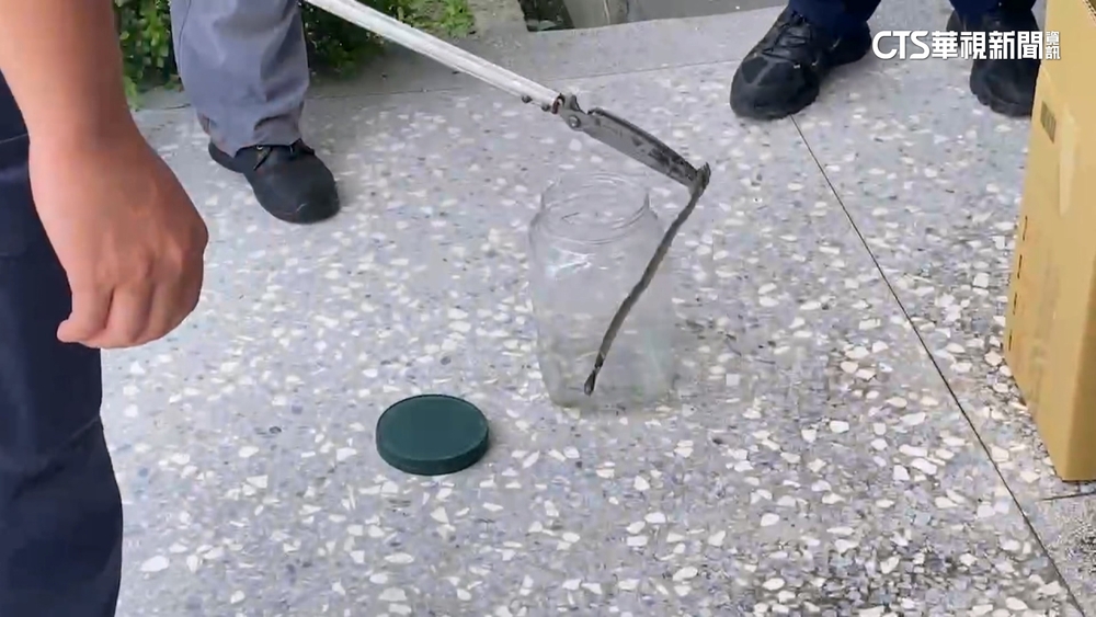 派出所前竄眼鏡蛇　民眾嚇壞勇警掃把壓制