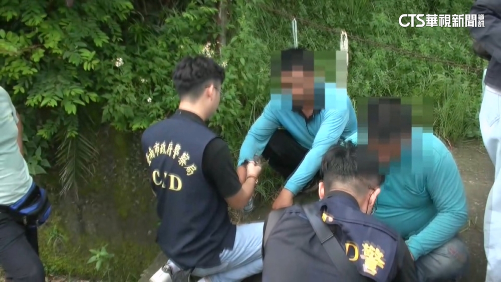 山區架網捕賽鴿勒贖　南警偵破擄鴿集團