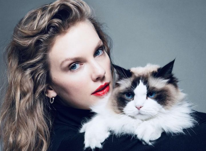 泰勒絲首度表態！美國總統大選支持賀錦麗 抱愛貓暗諷川普副手