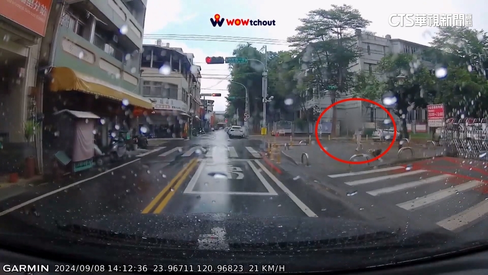 狗未繫繩馬路亂竄　2飼主狂追　駕駛急停超驚險