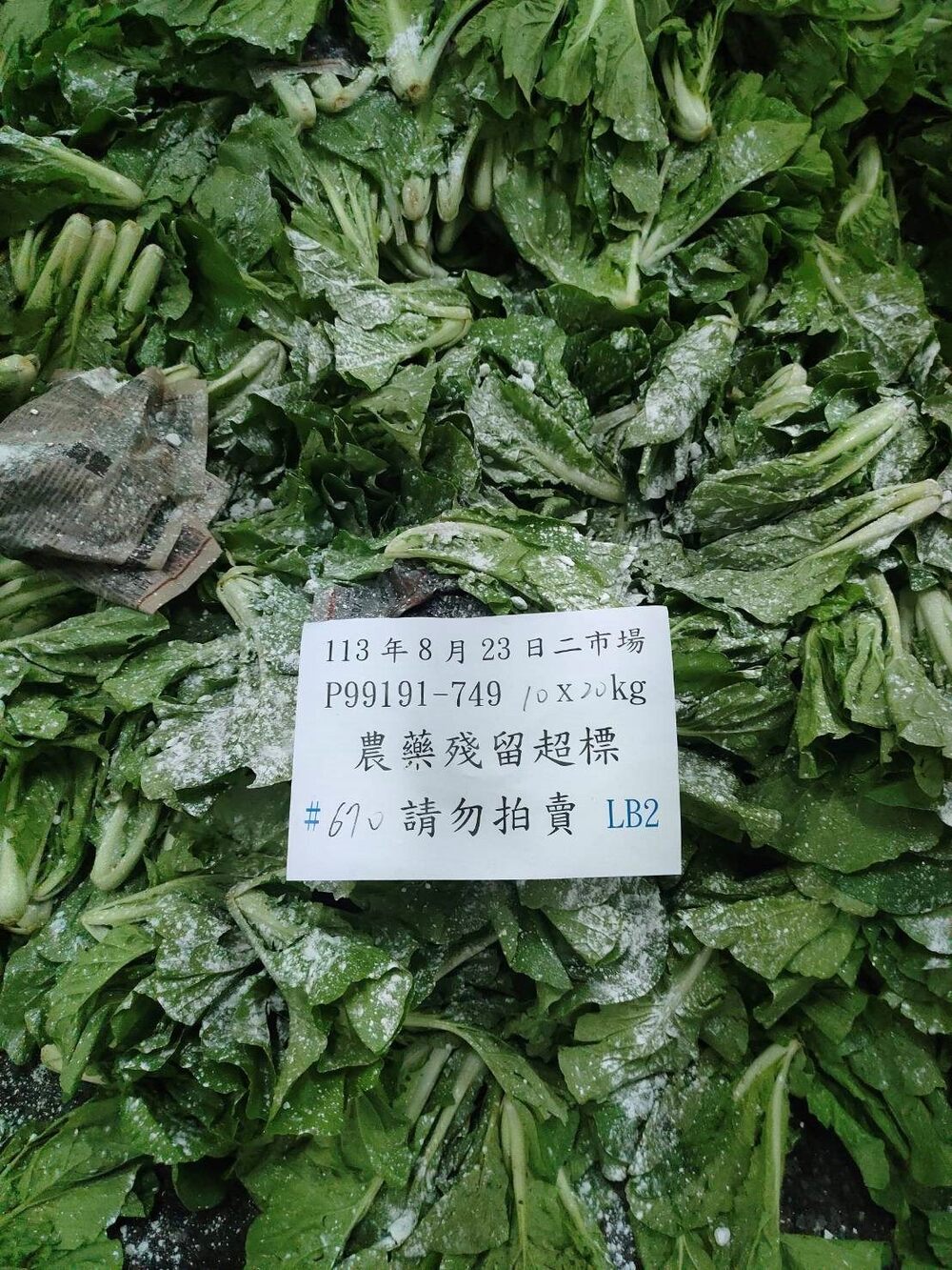 北農抽驗農藥殘留「銷毀1.2萬公斤蔬果」 主要3種菜不合格