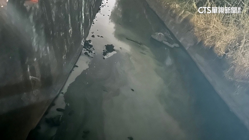 廢油1條龍！犯罪集團回收廢油轉賣　非法賺破億