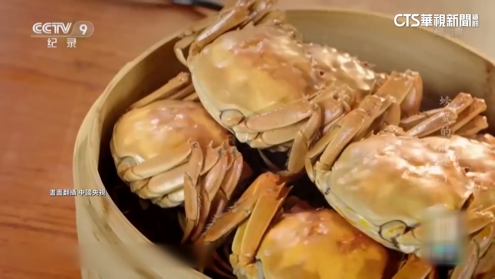 天氣太熱！　中國大閘蟹被熱死　精品蟹價格漲4成