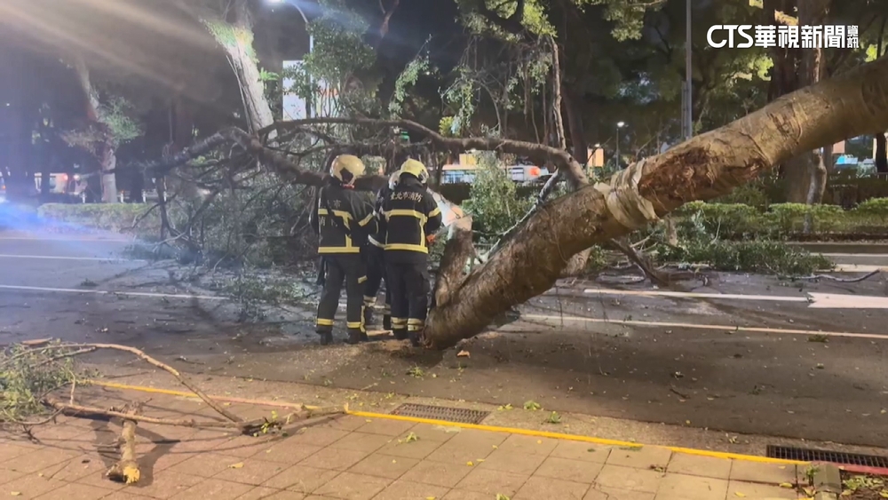 無人傷亡！北市路樹倒占2車道　緊急封路搶修