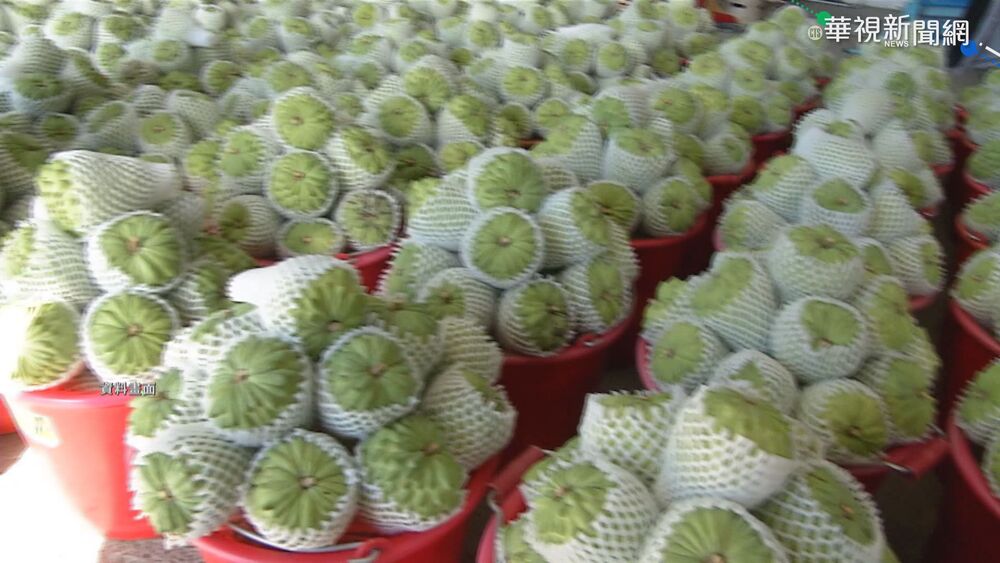 中國再取消台農產品免稅待遇　政院、陸委會批：停止對我經濟脅迫