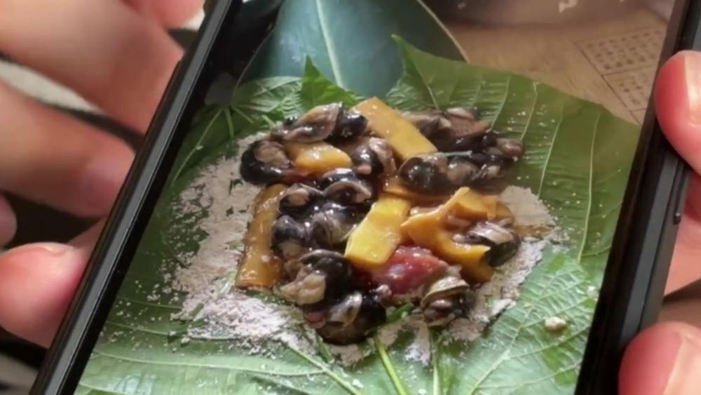 「蝸牛小米粽」釀3死！ 衛福部：食餘檢體檢出「劇毒型農藥」托福松